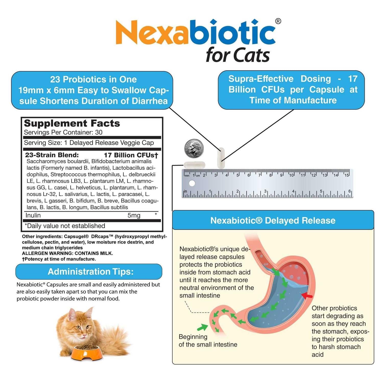 Probiotics Powder for Cats with Saccharomyces Boulardii Lactobacillus Acidophilus E639053