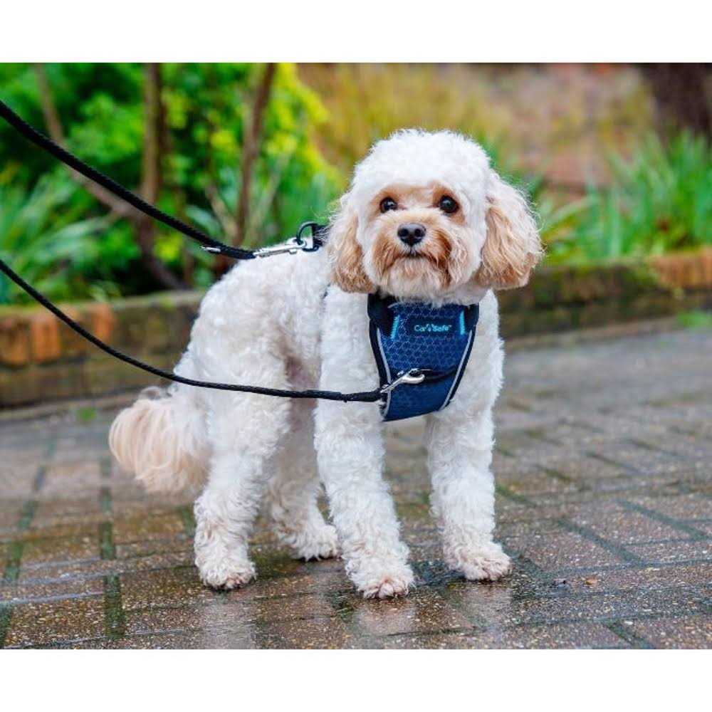Crash Tested Dog Harness U3172