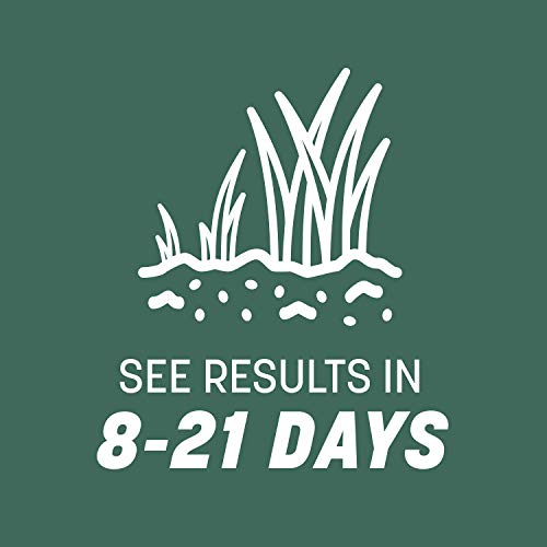 Kentucky 31 Tall Fescue Grass Seed 20 lb & Starter Lawn Fertilizer 14 LBS N843362