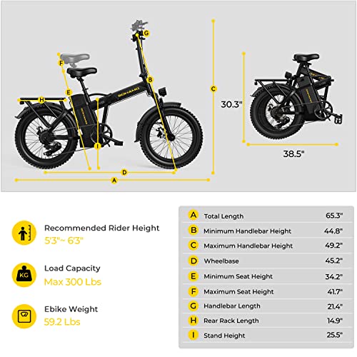 750W Brushless Motor Foldable Electric Bike with 48V 15/20AH Battery B428
