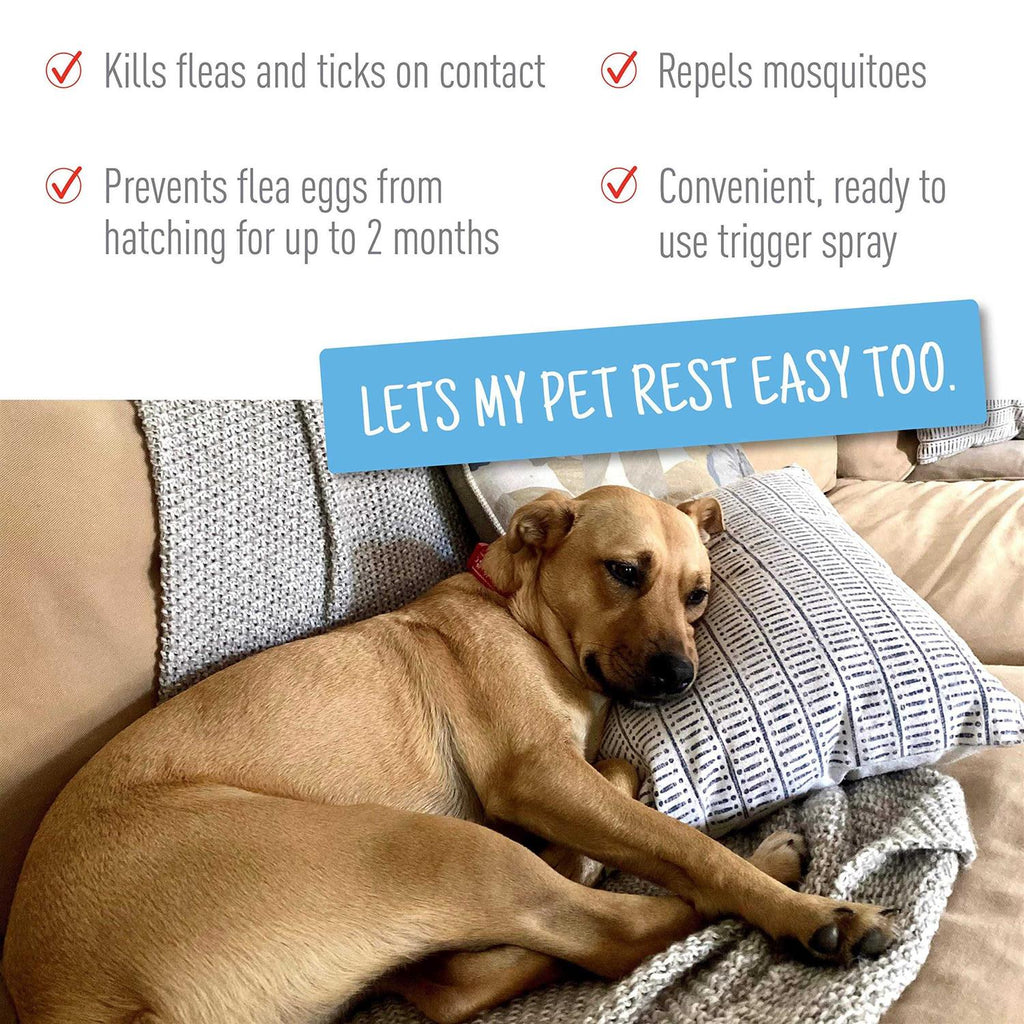Flea Tick Spray L288978
