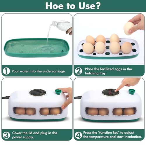 12-24 Poultry Incubator with Automatic Egg Turning and Temperature Control E380
