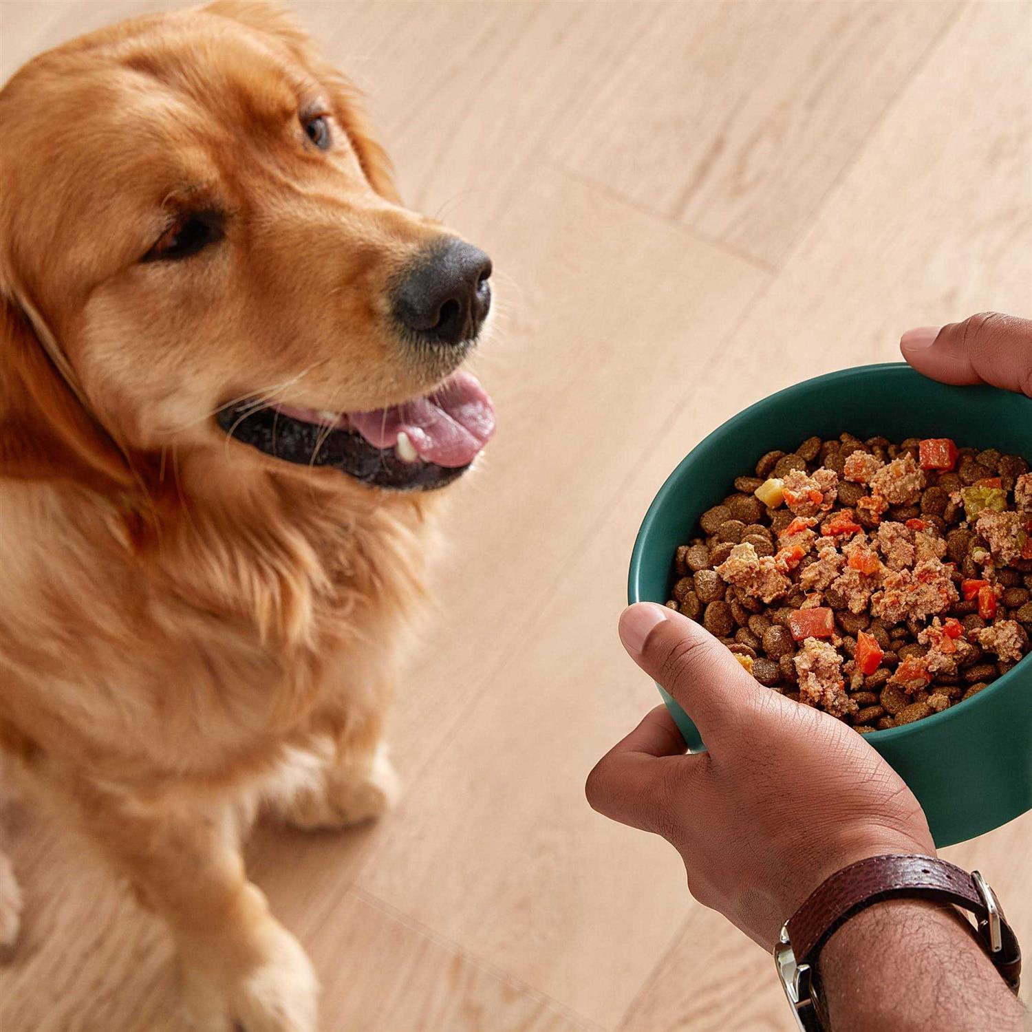 Grain-Free Wet Dog Food W55316