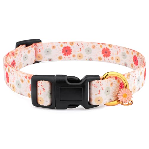 White Peach Dog Collar with Pendant (Small) H2361