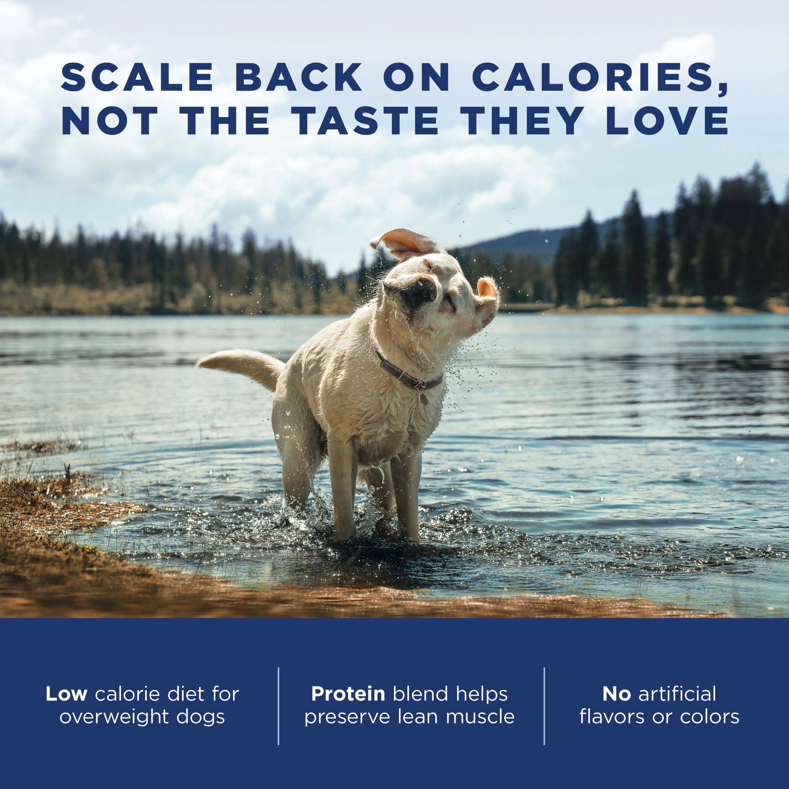28 lb Chicken Meal Salmon Meal Barley Formula Dog Food Z6641