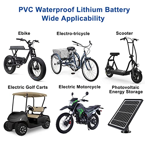 36V 48V Li-ion Ebike Battery Pack with 2A Charger R90324