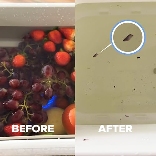 Fruit and Vegetable Cleaner, Pack of 2, 3.94 x 1.97 in X905000