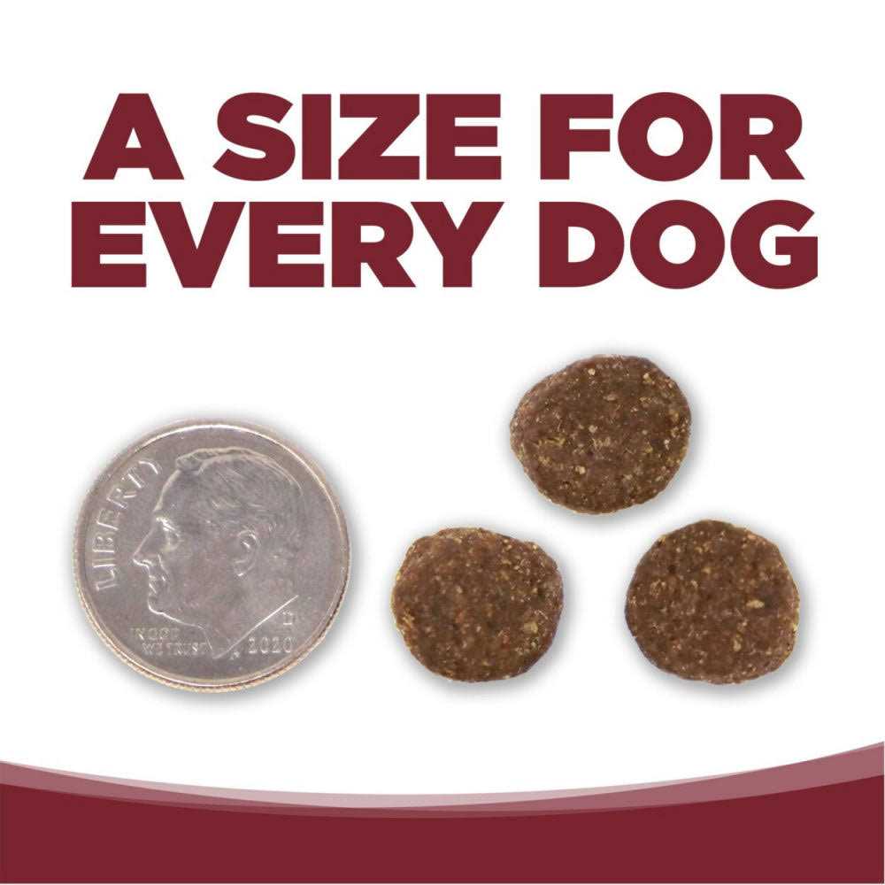 Beef Rice Dry Dog Food N3428