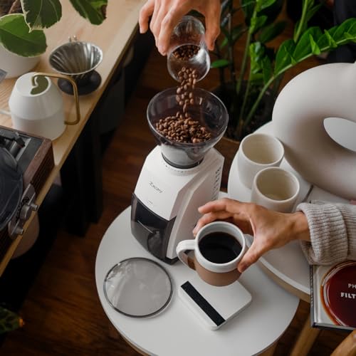 Black Coffee Grinder N55136