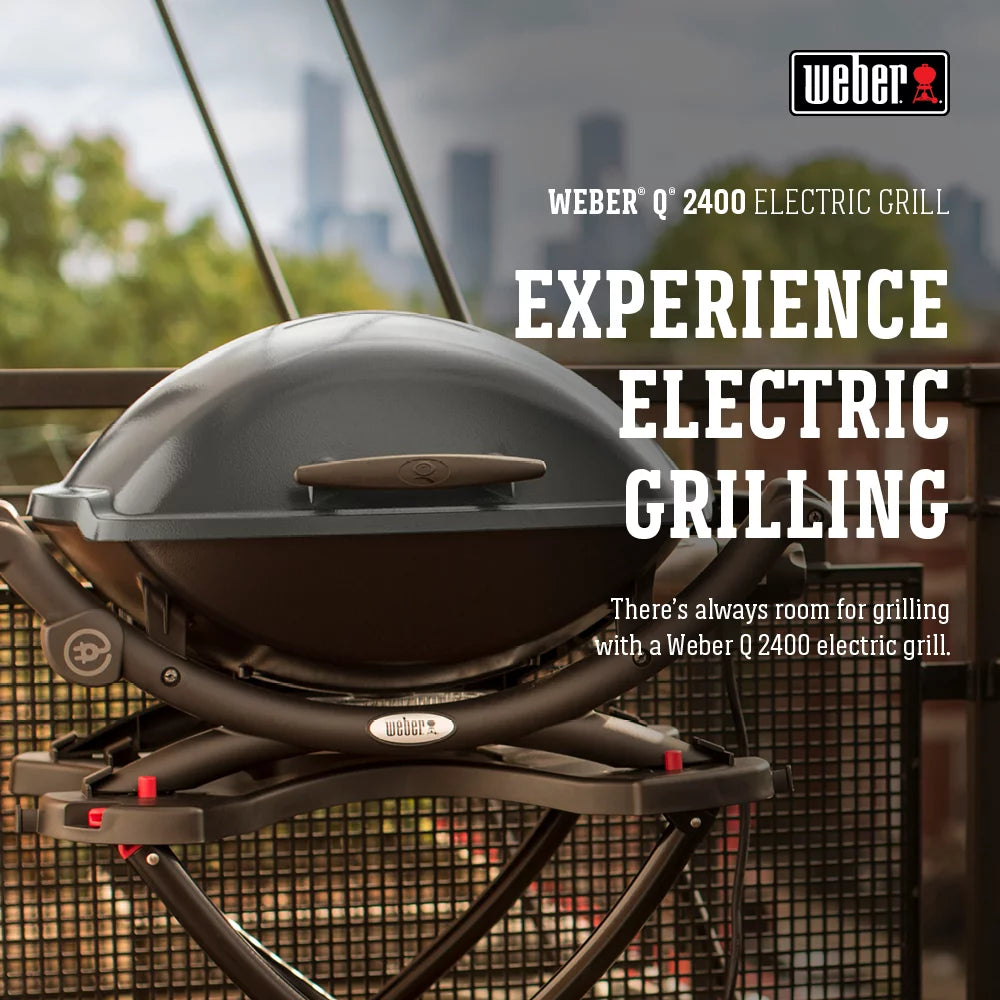 Dark Gray Electric Grill R239