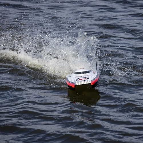Blackjack 24" Catamaran Brushless RTR J7666