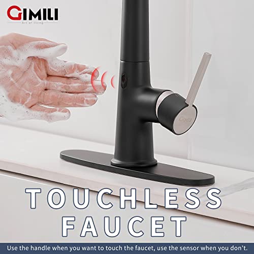 Brushed Nickel Touchless Kitchen Faucet with Pull Down Sprayer D6826