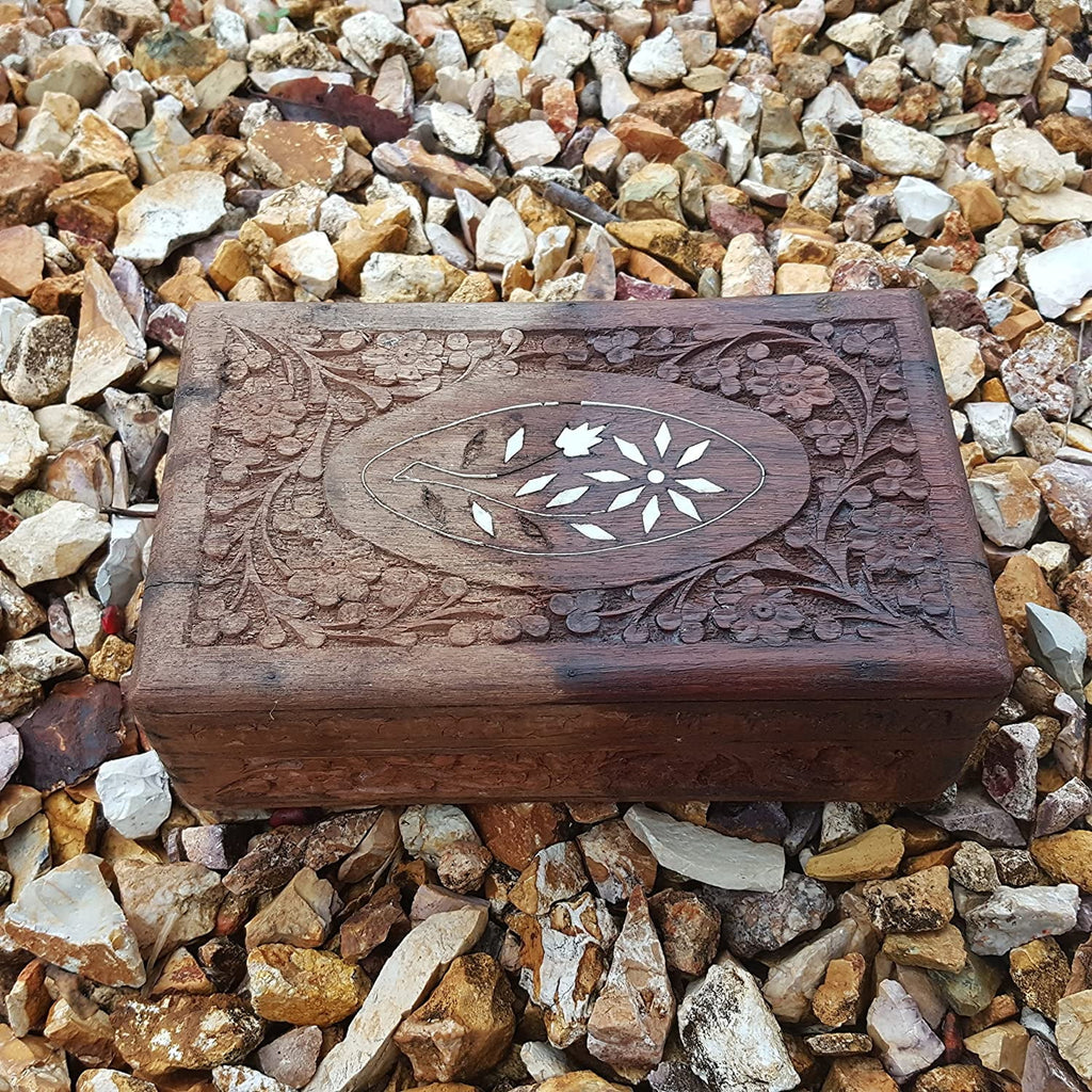 Wood Restoration Kit - Walnut X6253