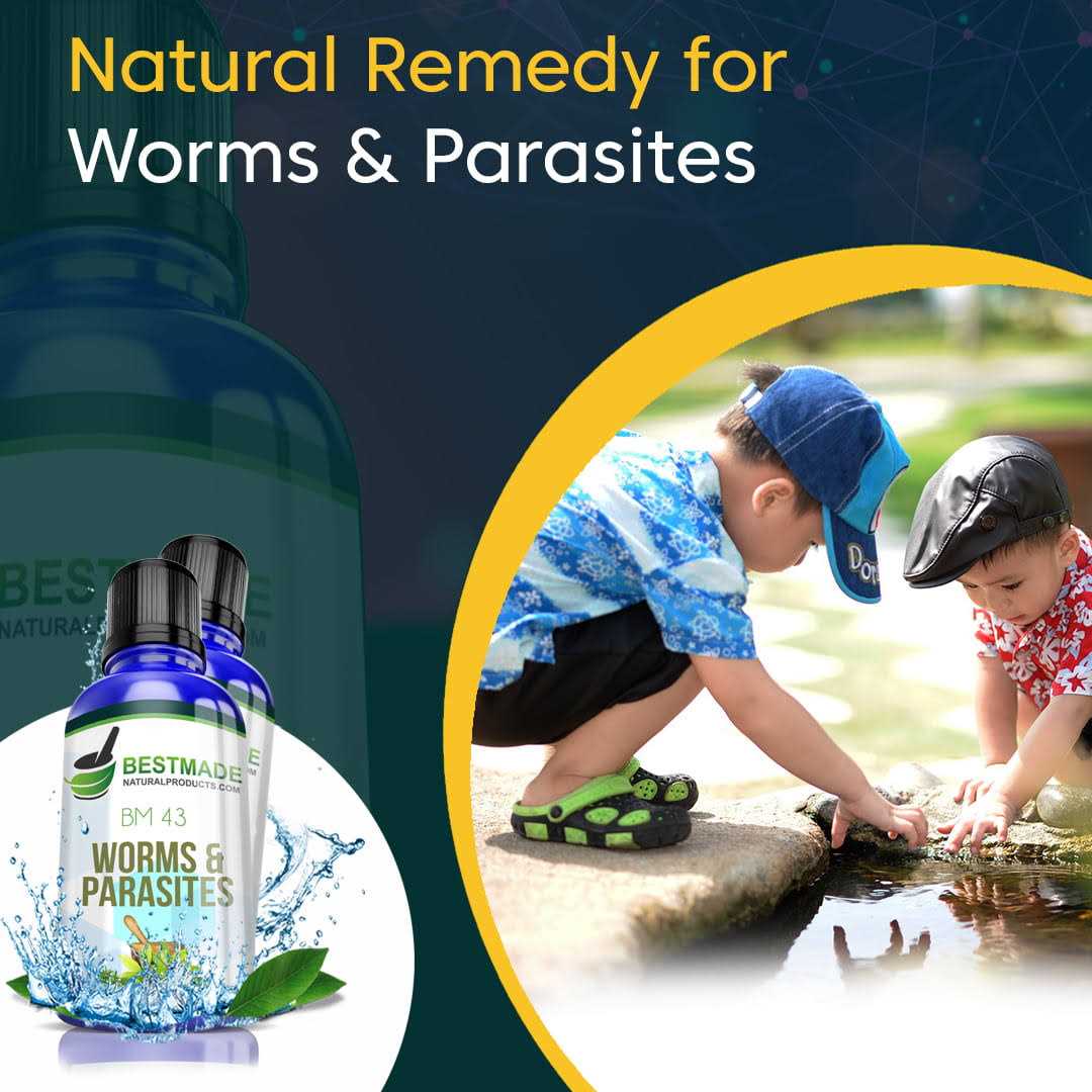 Worms and Parasites Remedy for Humans Y516646